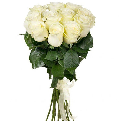 13 White Roses