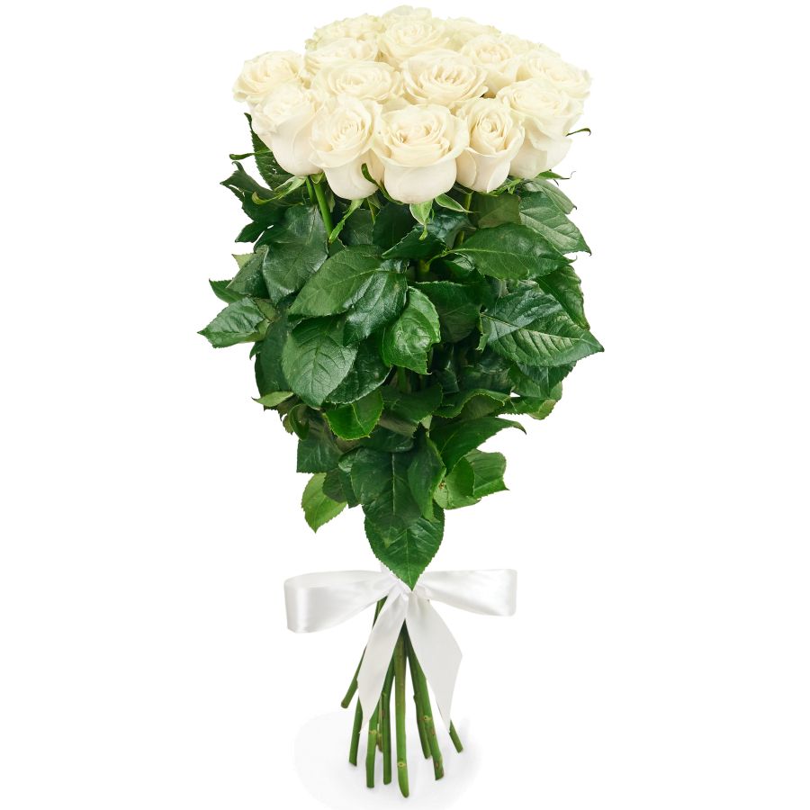 15 White Roses