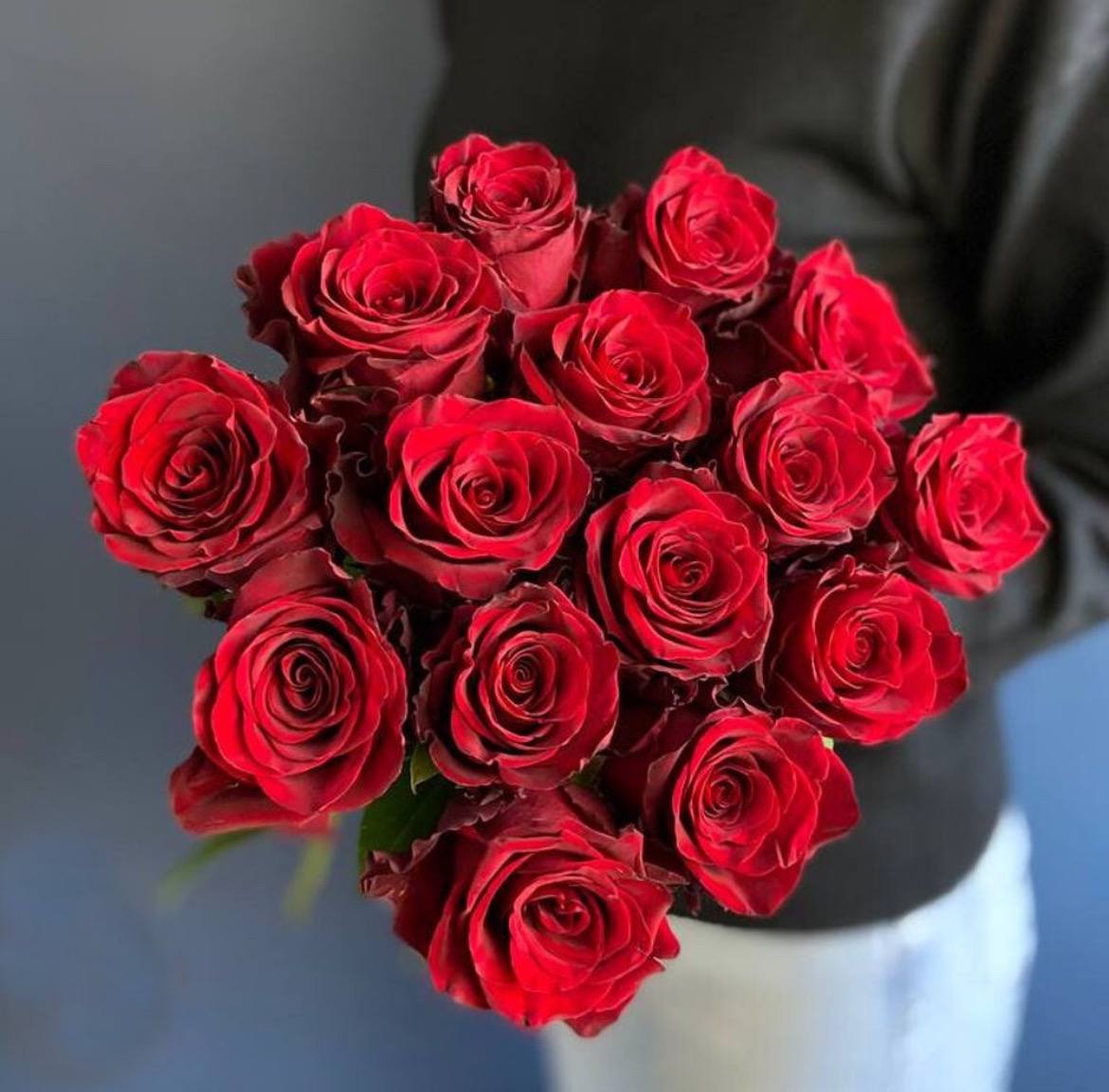 15 Red Roses