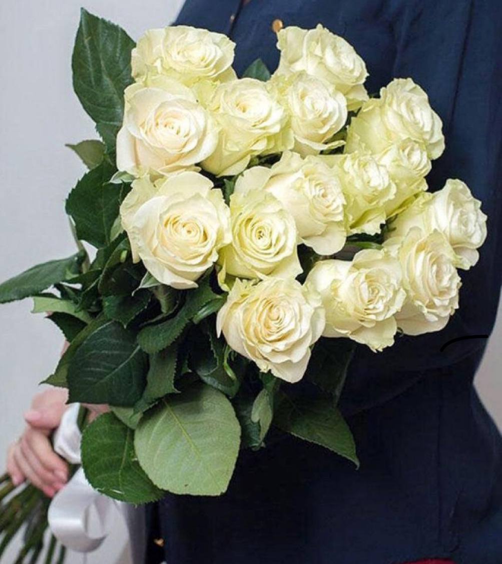 15 White Roses