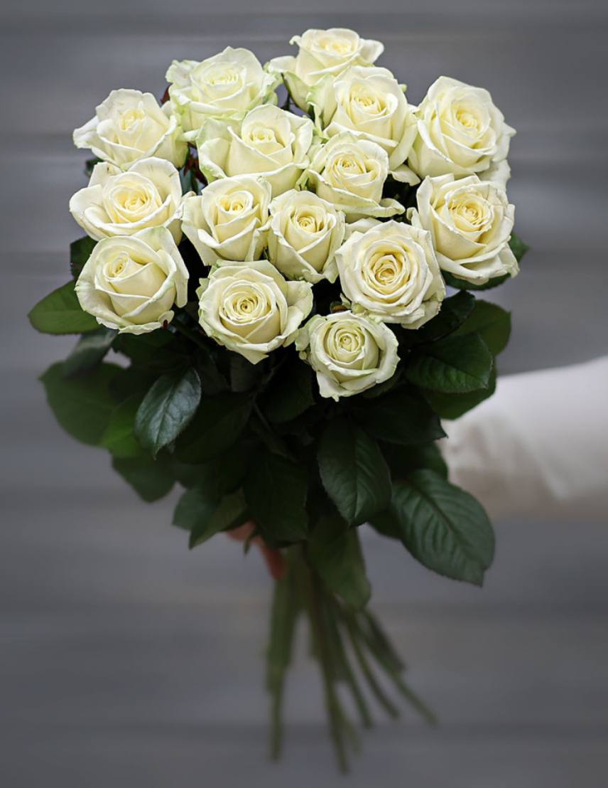 13 White Roses