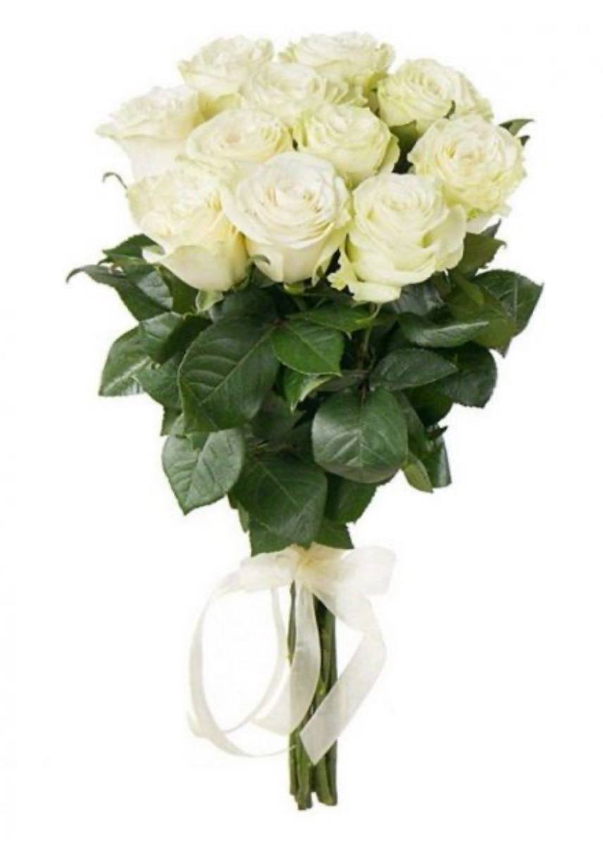 11 White Roses